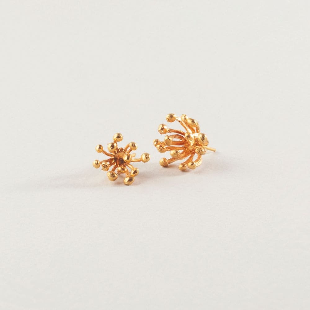 Aretes Dalia Embutidos